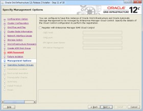 Oracle GI 12c R2 Installer - Step 11